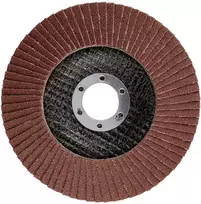 Ściernica Plokštelinis šlifavimo diskas 125 x 22,2 mm, P100
