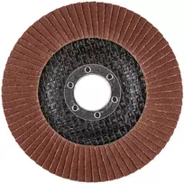 Ściernica Plokštelinis šlifavimo ratas 115 x 22,2 mm, P120