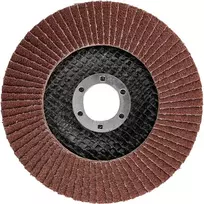 Ściernica Plokštelinis šlifavimo diskas 125 x 22,2 mm, P80