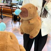 Capybara Hot Water Bottle Hand Warmer – Cute Warm Treasure for Winter 30cm 0.25kg
