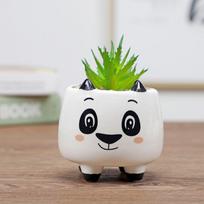 Cartoon Ceramics Handmade Ornament Garden Supplies Flowerpot Bonsai Accessories Succulent Potted 3