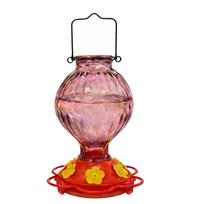 Outdoor Hanging Lantern Style Bird Feeder 1pc Glass Container with Metal Handle for Easy Suspension and Multiple Feeding Ports Design one size balta