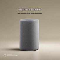 Xiaomi AI Smart Speaker CN plug (adapter included)