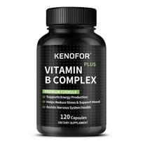 Vitamin B Complex Dietary Supplement, With Niacin, Choline, 120 Capsules Per Bottle 120 Capsules