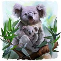 5D diy Diamond Embroidery Animal Koala Pictures Of Rhinestones Diamond Painting Home Decor 20X30CM