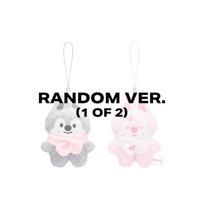[Pre-order] Stray Kids - SKZOO SECRET Plush Micro Ver. - STAY in Our Little House Wolf Chan