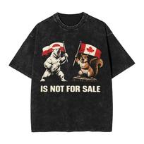 Greenland Fjord Funny Mem Graphic Print Tshirt Women Men Harajukuj Fashion Cotton Summer New Tee Vintage Washed Oversized Top S