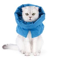 Protective Cat Neck Warmer and Anti-Lick Scarf Headgear Small ežero mėlyna spalva