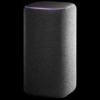 Xiaomi Smart Speaker Pro CN plug (adapter included)