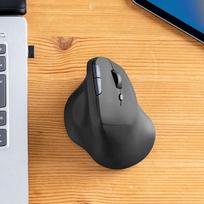SANWA Ergonomic Vertical Dual-Mode Wireless Trackball Mouse