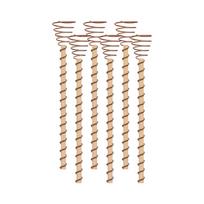 6 Pack Spiral Plant Support Stakes for Bonsai and Training Potted Plants Durable Metal Stakes for Indoor Outdoor Use One Size ruda
