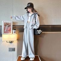 Girls Spring Autumn Sweatshirt Jacket+Drawstring Sweatpant School Kids Tracksuit Child Jogger Outfit 170cm pilka