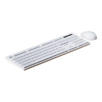 Acer klaviatūros ir pelės