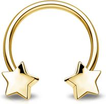 Nerūdijančio plieno žvaigždutės širdelės nosies pertraukimo žiedelis auskaras kremzlės pasagos auskaras moterims vyrams kūno papuošalai punk aksesuarai Star&Nose Rings & Studs&Face auksas