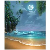 Pilnas 5D „pasidaryk pats“ deimantinis paveikslas „Moonlight“ pajūrio deimantinis siuvinėjimas kryželiu namų dekoras Rankų darbo 25x30cm