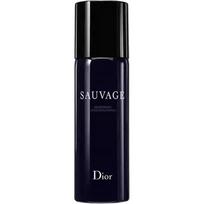 DIOR Wilderness Men's Antiperspirant Body Spray Amber Woody Wilderness Perfume Same Fragrance 150ml Birthday Gift 520 for Boyfriend gintaras