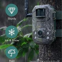 WiFi HD Hunting Camera: Outdoor Monitor with Infrared Night Vision, for Tracking and Bird Watching Asia-Pacific Version
