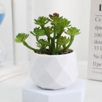 Mini Evergreen Artificial Succulent Fake Plants Plastic Bonsai Plants Cactus Small Potted Plants Home