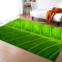 3D Print Poppies Flower Carpet Natural Scenery Floor Mat Sunlight Landscape Home Entrance Door Mat Living Room Rugs Bathroom Mat 40x60cm 16x24 inch