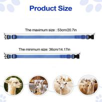 Goat Collars With Bells Horse Sheep Grazing Bell Collar Clear Sound Quick-Release Buckle Pet Accessories For Small Animal Cow gryna