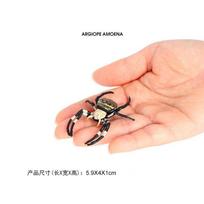 Children Simulation Insect Animal Model Golden Spider Halloween Prank Toys Cognitive Science Educational Toys Children's Gifts