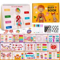 Montessori Busy Book for Kids, Human Body Anatomy Book for Toddlers, Preshool Kindergarten Learning Toys, Gifts for Girls