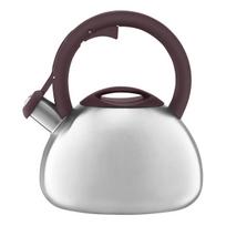 Ambition arbatinukas su švilpuku Master Stone, 2.9 l, rudas/sidabrinis