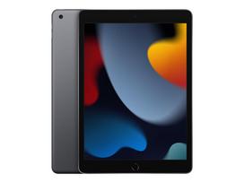 Apple - iPad 10.2" Wi-Fi 9. gen. 256GB - Space Grey