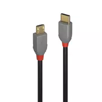 USB Kabelis - LINDY Anthra Line USB 2.0 Type C į Micro-B Laidas, M/M, 2.5W, 480Mbps, 1 m, Juodas