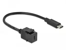 DELOCK Keystone modulis USB 3.0 C moteriai > USB 3.0 C kištukas su laidu