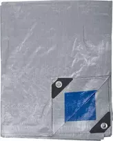 Plandeka Brezentas 110g/m2, 5x8m, prolinas
