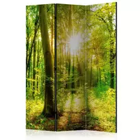 Artgeist Pertvara - Forest Rays