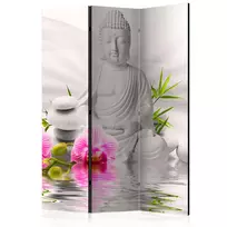 Artgeist Pertvara - Buddha and Orchids