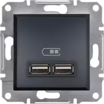 Schneider Electric Asfora Lizdas USB įkrovikliai 2.1A be rėmelio, antracitas EPH2700271
