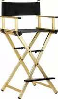 Activeshop Makiažo kėdė MAKE-UP CHAIR ALU GOLD