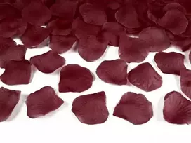 Party Deco Dekoratyviniai rožės žiedlapiai bordo 500vnt