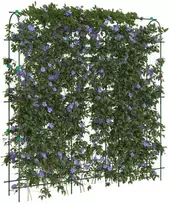 Sodo grotelės vijokliniams augalams, 181x31x182,5cm, plienas
