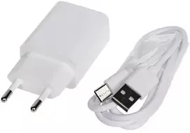 Delta Power TINKLINIS ĮKROVIKLIS USB 5V/2A/USB/C