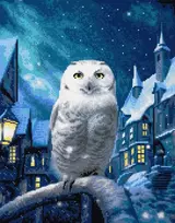 Beldizart Deimantų tapyba su porėmiu "Magic Owl" 40x50 cm DP415