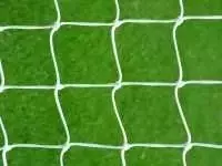 Rankinio vartų tinklas Netex 3x2x0,8x1m PP/b4mm (2vnt)