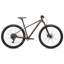 Specialized Rockhopper Sport 29" kalnų dviratis | Gloss Burnt Gold Metallic - Stallion Metallic