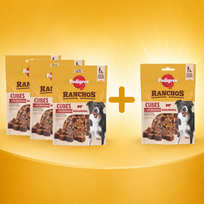 PEDIGREE® Ranchos™ Superfoods su kalakutiena 3x70g + 70g NEMOKAMAI
