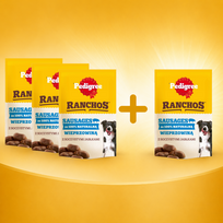 PEDIGREE Ranchos dešrelės 3x60g + 60g NEMOKAMAI