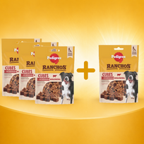 PEDIGREE® Ranchos™ kubeliai su jautiena 3x70g + 70g NEMOKAMAI