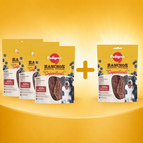 PEDIGREE® Ranchos™ Supermaistas su jautiena, uogomis ir neskaldytais grūdais 3x70g + 70g NEMOKAMAI