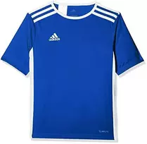 Marškinėliai vyrams Adidas Entrada 18 CF1037, mėlyni