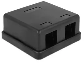 Delock Keystone Chassis 2 Port juodas