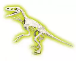 Clementoni Velociraptor fosilijos