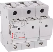 SAUGIKLIŲ IŠJUNGIKLIAI LE-606708 TRIFAZIS 50 A D02 LEGRAND