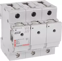 SAUGIKLIŲ IŠJUNGIKLIAI LE-606706 TRIFAZIS 25 A D02 LEGRAND